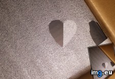 Tags: foam, folded, heart, package, perfect, ripped, too, unboxed, was (Pict. in My r/MILDLYINTERESTING favs)