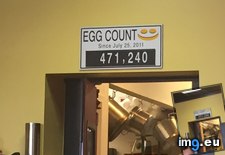 Tags: counts, eggs, number, opening, restaurant, served (Pict. in My r/MILDLYINTERESTING favs)