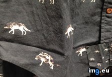 Tags: closer, images, looked, mating, one, saw, shirt, two, wolves (Pict. in My r/MILDLYINTERESTING favs)