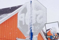 Tags: backside, formed, letters, snow, stop (Pict. in My r/MILDLYINTERESTING favs)