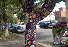 Tags: knitted, sweater, tree (Pict. in My r/MILDLYINTERESTING favs)