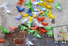 Tags: alley, butterflies, downtown, oragami, wall (Pict. in My r/MILDLYINTERESTING favs)