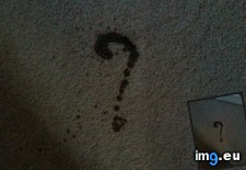 Tags: coffee, floor, mark, question, spilt, stain (Pict. in My r/MILDLYINTERESTING favs)