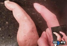 Tags: finger, potato, sweet (Pict. in My r/MILDLYINTERESTING favs)