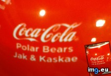 Tags: are, bears, coca, cola, jak, kaskae, named, polar (Pict. in My r/MILDLYINTERESTING favs)