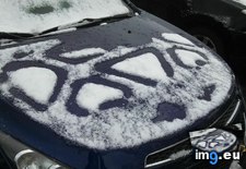 Tags: car, ice, interesting, melted, mildly, morning, pattern (Pict. in My r/MILDLYINTERESTING favs)