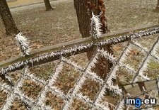 Tags: created, fence, frost, morning, spikes (Pict. in My r/MILDLYINTERESTING favs)