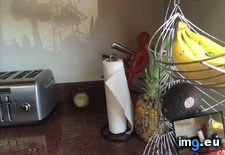 Tags: appliances, kitchen, park, people, reflection (Pict. in My r/MILDLYINTERESTING favs)