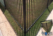Tags: fence, lines, perfectly, shadow, sidewalk (Pict. in My r/MILDLYINTERESTING favs)