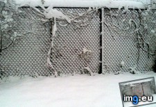 Tags: chainlink, fence, filled, gaps, snow (Pict. in My r/MILDLYINTERESTING favs)