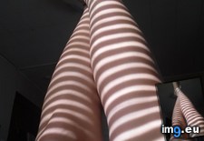 Tags: blinds, coming, leggings, striped, sunlight, wearing (Pict. in My r/MILDLYINTERESTING favs)