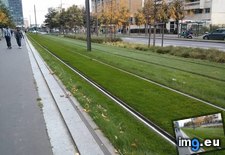 Tags: directions, flatten, grass, greener, tramways (Pict. in My r/MILDLYINTERESTING favs)