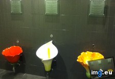 Tags: centre, flowers, garden, shaped, urinals (Pict. in My r/MILDLYINTERESTING favs)