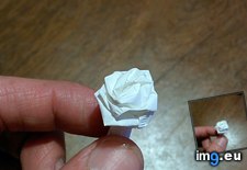 Tags: end, flower, folded, straw, was, wrapper (Pict. in My r/MILDLYINTERESTING favs)