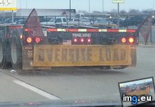 Tags: load, oversized, thinks (Pict. in My r/MILDLYINTERESTING favs)