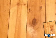 Tags: dog, floor, sad, wooden (Pict. in My r/MILDLYINTERESTING favs)