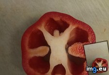 Tags: pepper, person (Pict. in My r/MILDLYINTERESTING favs)