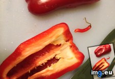 Tags: growing, pepper, red, was (Pict. in My r/MILDLYINTERESTING favs)