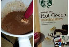 Tags: advertising, bit, cocoa, false, marshmallow, one, was, wasn (Pict. in My r/MILDLYINTERESTING favs)
