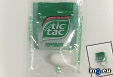 Tags: serving, single, tac, tic (Pict. in My r/MILDLYINTERESTING favs)