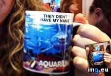 Tags: aquarium, mugs, names, people, sells, souvenir, unusual (Pict. in My r/MILDLYINTERESTING favs)