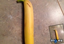 Tags: banana, straight (Pict. in My r/MILDLYINTERESTING favs)