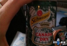 Tags: ale, can, canada, dry, ginger, schweppes, was (Pict. in My r/MILDLYINTERESTING favs)