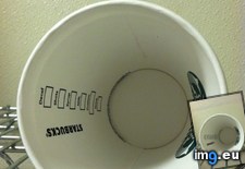 Tags: cup, out (Pict. in My r/MILDLYINTERESTING favs)