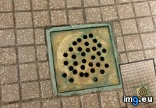 Tags: drain, pattern (Pict. in My r/MILDLYINTERESTING favs)