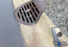 Tags: curb, curved, drainage, fit, grate (Pict. in My r/MILDLYINTERESTING favs)