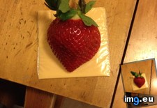 Tags: cheese, massive, scale, strawberry (Pict. in My r/MILDLYINTERESTING favs)
