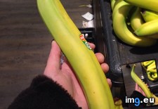 Tags: banana, stupid (Pict. in My r/MILDLYINTERESTING favs)