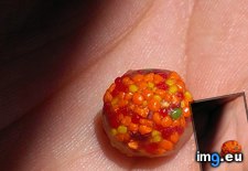 Tags: skittle (Pict. in My r/MILDLYINTERESTING favs)