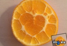 Tags: heart, orange (Pict. in My r/MILDLYINTERESTING favs)