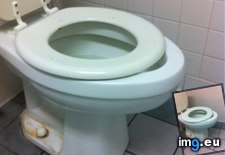 Tags: toilet, underbite, wicked (Pict. in My r/MILDLYINTERESTING favs)