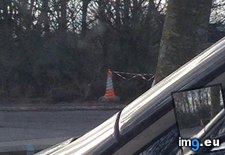 Tags: cone, curly, traffic, wurley (Pict. in My r/MILDLYINTERESTING favs)