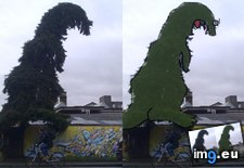 Tags: cyclist, godzilla, stomping, tree (Pict. in My r/MILDLYINTERESTING favs)