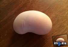 Tags: bean, chickens, egg, kidney, laid, one, shaped (Pict. in My r/MILDLYINTERESTING favs)