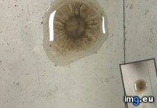 Tags: boots, eyeball, water (Pict. in My r/MILDLYINTERESTING favs)