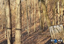 Tags: door, hike, tree, was, woods (Pict. in My r/MILDLYINTERESTING favs)
