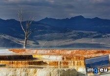 Tags: hot, mammoth, minerva, national, park, springs, terrace, wyoming, yellowstone (Pict. in Beautiful photos and wallpapers)