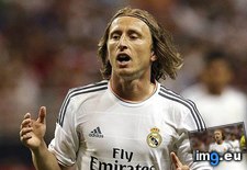Tags: interior, modric (Pict. in Rehost)