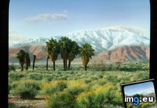 Tags: california, desert, distance, jacinto, landscape, mojave, mount, san (Pict. in Branson DeCou Stock Images)