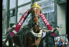 Tags: banner, drawn, horse, moscow, propaganda, scene, street, taxi (Pict. in Branson DeCou Stock Images)