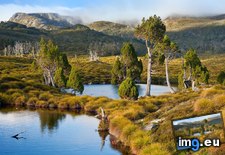 Tags: australia, clair, cradle, lake, mountain, national, park, pencil, pines, ringed, tarns, tasmania (Pict. in Bing Photos November 2012)