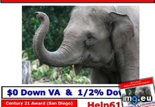 Murphy Oil and Elephants Century 21 Award San Diego Linda Ring - 110 KB Tags: award, century, diego, elephants, linda, murphy, oil, ring, san (Pict. in Linda Ring Century 21 Award San Diego Real Estate)
