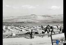 Tags: city, nablus, tent (Pict. in National Geographic Photo Of The Day 2001-2009)