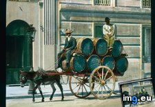 Tags: barrels, donkey, drawn, naples, partenope, vendors, via, wine (Pict. in Branson DeCou Stock Images)