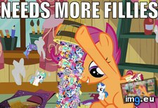 Tags: animation, fillies, little, pony (GIF in Rehost)