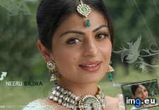 Tags: bajwa, neeru, wallpaper, wallpapers (Pict. in Hot Indian Actress Neeru Bajwa)